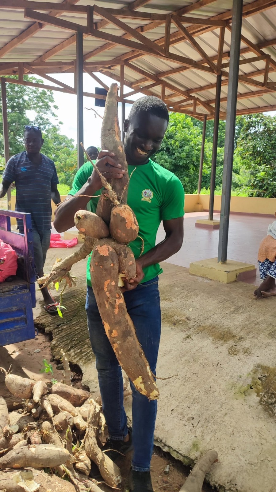 Fertilisation et rendement